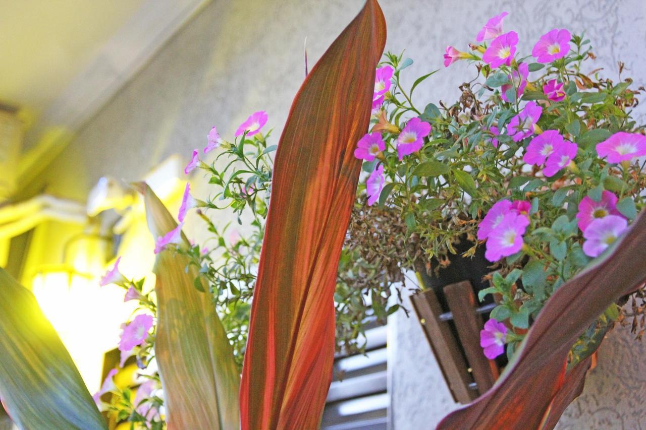 Pousada Recanto Da Morada โอลิมเปีย ภายนอก รูปภาพ